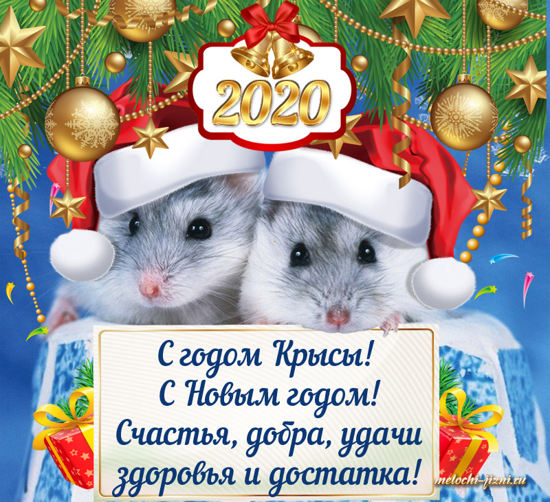 Открытки с Новым годом Крысы скачать бесплатно