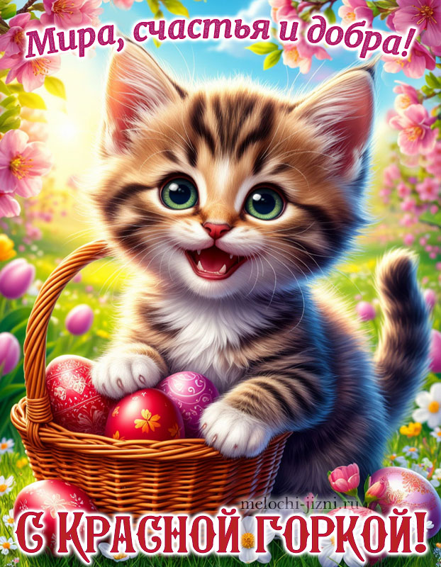 С Красной горкой картинка красивая, открытка с пожеланием мира счастья и добра, с котиком