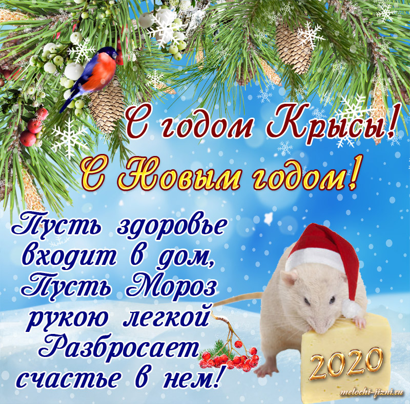 Поздравительная открытка с Новым годом 2020 Крысы