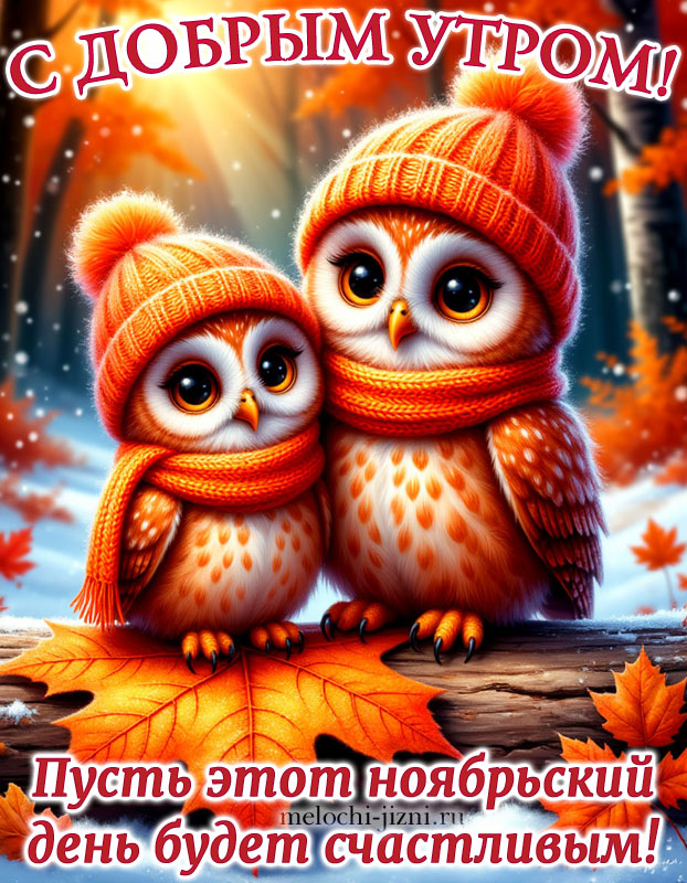 Бесплатная открытка с добрым утром ноября, картинка с пожеланием пусть этот ноябрьский день будет счастливым