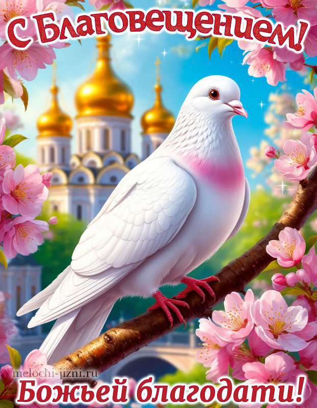 благовещение пресвятой богородицы открытка поздравление скачать бесплатно, картинка с пожеланием божьей благодати, с голубем