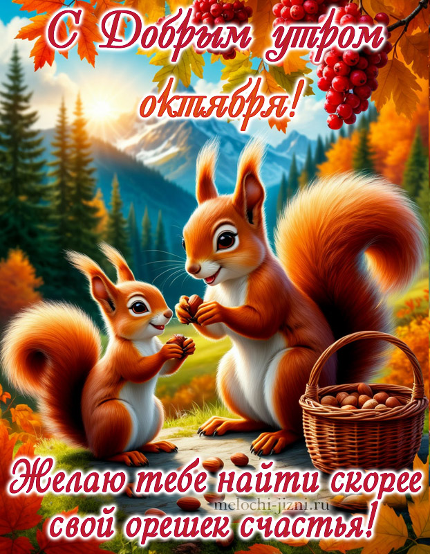 Доброе утро октября картинка красивая с пожеланием: желаю тебе найти скорее свой орешек счастья