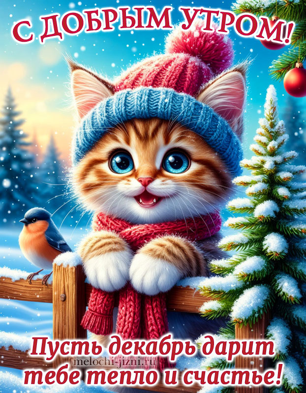 скачать открытку с добрым утром декабря, картинка с пожеланием пусть декабрь дарит счастье и тепло