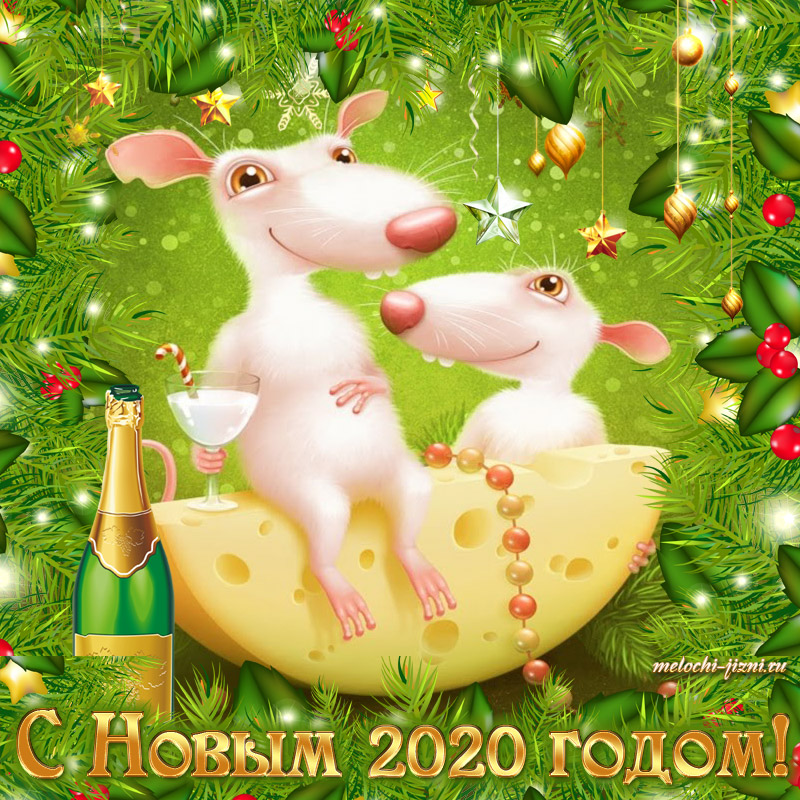 Поздравления с Новым годом Крысы открытка