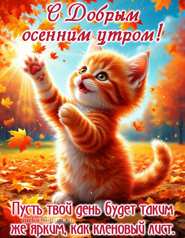 открытка с добрым осенним утром с котиком и пожеланием: пусть твой день будет таким же ярким, как кленовый лист