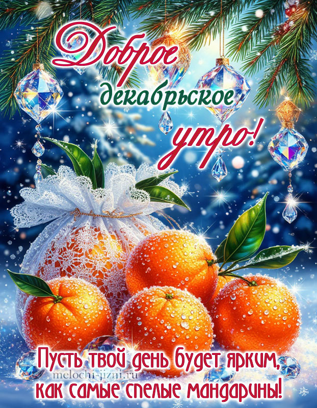 доброе декабрьское утро открытки красивые скачать бесплатно, открытка с пожеланием яркого дня как спелые мандарины