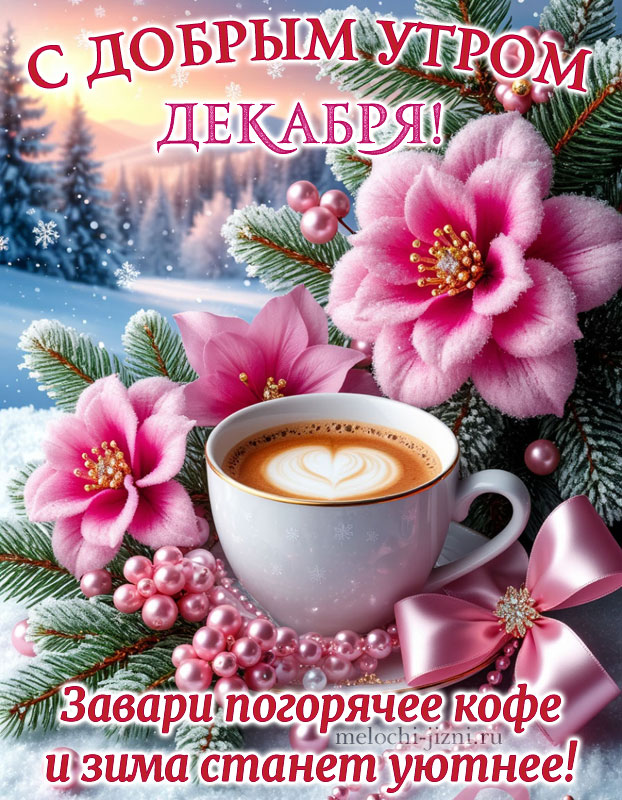 красивые открытки с добрым утром декабря, открытка с пожеланием завари кофе погорячей и зима станей уютнее