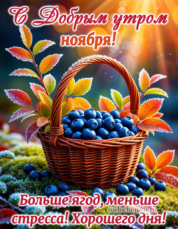 Доброе утро ноября картинка красивая новая, открытка с пожеланием больше ягод, меньше стресса, хорошего дня