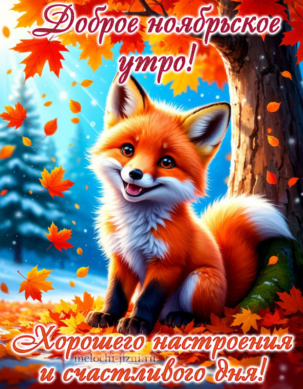 Картинка доброго ноябрьского утра и дня, с пожеланием хорошего настроения и счастливого дня